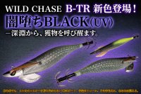 画像2: TIPRUN/B-TR 3.5号 30ｇ#BT26  闇堕ちBLACK(UV)