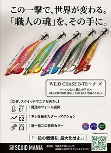 画像3: TIPRUN/B-TR 2.5号 15ｇBT25  夢幻レイヤーパープル(UV) (3)