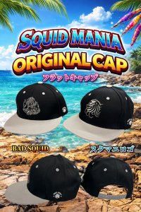 画像1: オリジナルフラットCAP/BLACK＆グレイ (1)