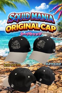 画像1: オリジナルカーブCAP/BLACK＆グレイ (1)