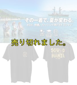 画像1: SINSE 2007 ロボクマ/ DRY-Tシャツ【黒×金ラメ】 (1)