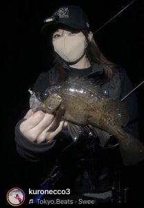 画像1: CURVE CAP【BLACK】ロボクマ着ぐるみ (1)