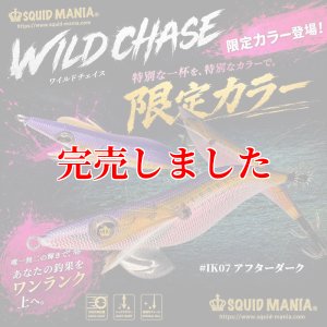 画像1: 3.5号 IK07 アフターダーク (1)