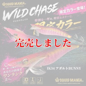 画像1: 3.5号 IK34 アダルトBUNNY（UV） (1)