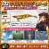 画像2: WILD CHASE 3.5号(02) ワイルド オレンジ (2)