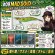画像1: WILD CHASE 3.5号（09）MAD GOLD / メタグリーン (1)