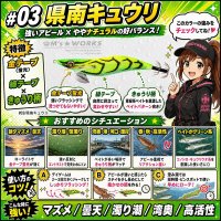画像3: WILD CHASE 3.5号(03)県南キュウリ