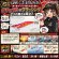 画像1: WILD CHASE 3.5号 (23) 夜遊びカサゴ (1)