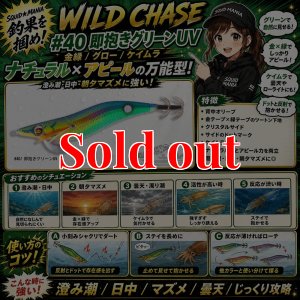 レア☆グリーンラインCM6466エッグカップ☆ラインなしとあり☆ WILD CHASE 3.5号 (40) 即抱きグリーンUV - エギングショップ SQUID MANIA