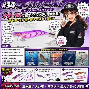 画像1: WILD CHASE 3.5号 (34) パープルクイーンUV (1)