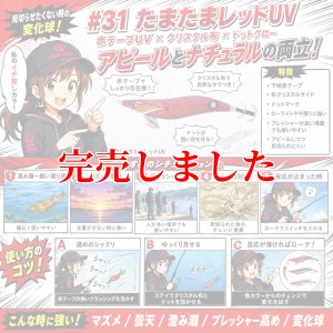 画像3: 3.5号 (31) たまたまレッドUV (3)