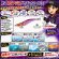 画像1: WILD CHASE 3.5号 (58) RG/ギンガメパープル(UV＆RED-glow) (1)