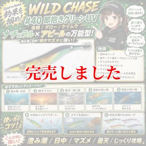 画像1: 4.0plus  (40) 即抱きグリーンUV (1)