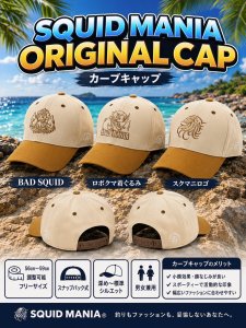 画像1: CURVE CAP【ブラウン/ ベージュ】刺繍BROWN (1)