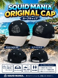 画像1: CURVE CAP【グレイ / BLACK】刺繍ガンメタ