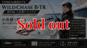 画像1: TIPRUN/B-TR/ラトル 3.5号 30ｇ BT-RT＃06/入れ食いマメアジ (1)