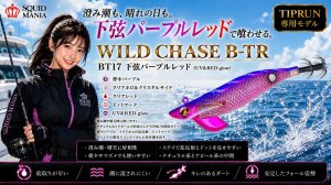 画像1: TIPRUN/B-TR 2.5号 15ｇBT17下弦パープルレッド(UV＆RED-glow) (1)
