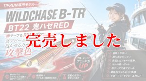 画像1: 3.0号 25ｇB-TR (BT22)鬼ハゼレッド(RED-glow) (1)