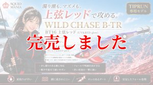 画像1: RT3.5号 30ｇB-TR (BT16)上弦レッド(UV＆RED-glow) (1)