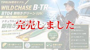 画像1: 3.0号 25ｇB-TR (BT04)即抱きグリーン(UV) (1)