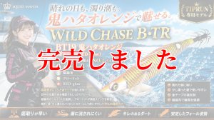 画像1: RT3.5号 30ｇB-TR (BT19)鬼ハタオレンジ(RED-glow) (1)