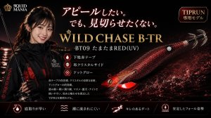 画像1: TIPRUN/B-TR 2.5号 15ｇBT09たまたまRED(UV) (1)