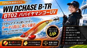 画像1: TIPRUN/B-TR 2.5号 15ｇBT02パパイヤマンゴーUV (1)