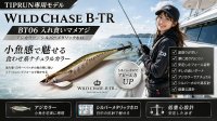 画像1: TIPRUN/B-TR 3.5号 30gBT06入れ食いマメアジ