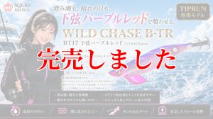 画像1: RT3.5号 30ｇB-TR (BT17)下弦パープルレッド(UV＆RED-glow) (1)