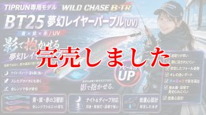 画像1: 3.5号 30ｇB-TR (BT25) 夢幻レイヤーパープル(UV) (1)