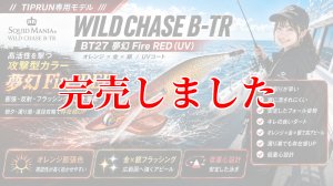 画像1: 3.5号 30ｇB-TR (BT27)夢幻 Fire RED(UV) (1)