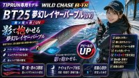 画像3: TIPRUN/B-TR 2.5号 15gBT25 夢幻レイヤーパープル(UV)