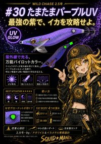 画像3: WILD CHASE 2.5号 #30 たまたまパープルUV( glowdot )