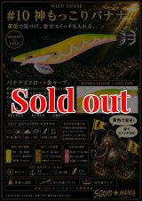 3.5号スーパーシャロー - エギングショップ SQUID MANIA