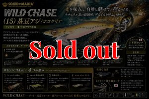 画像1: WILD CHASE 3.5号ラトル (15)茶豆アジ/ホロクリア (1)
