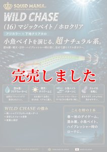 画像1: 3.0号(16)マジックベイト/ホロクリア (1)