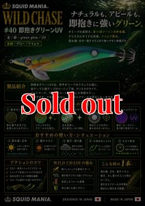 画像1: WILD CHASE 3.5号 (40) 即抱きグリーンUV (1)