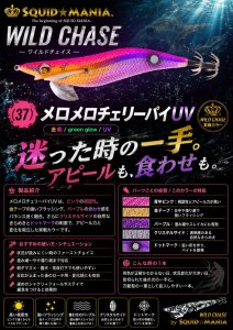 画像1: WILD CHASE  3.5号シャロー (37) メロメロチェリーパイ-UV (1)