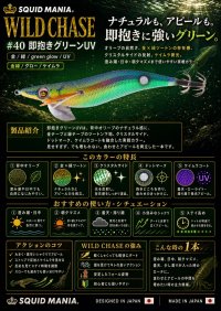 画像1: WILD CHASE 3.5号ラトル (40) 即抱きグリーンUV