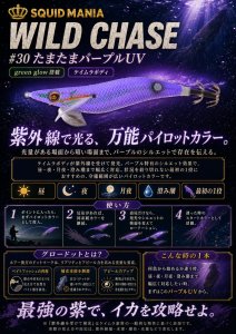 画像1: WILD CHASE  3.5号シャロー (30) たまたまパープルUV (1)