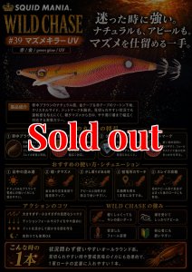 画像1: WILD CHASE  3.5号シャロー (39) マズメキラーUV (1)