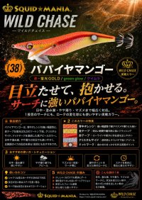 画像1: WILD CHASE  3.5号シャロー (38) パパイヤマンゴー UV