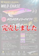 MAD CROW 100 All BLACK フォルテ（オーロラGOLD） - エギングショップ
