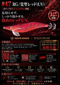 画像1: WILD CHASE  3.5号シャロー (47) RG/覚聖レッド(UV) (1)