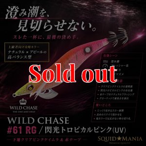 画像1: WILD CHASE 3.5号 (61) RG/閃光トロピカルピンク(UV) (1)
