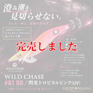 画像1: 3.5号 (61) RG/閃光トロピカルピンク(UV) (1)