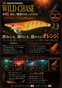 画像3: WILD CHASE 3.5号(45)RG/爆乗りオレンジ (UV)