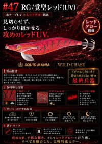 画像1: WILD CHASE 3.5号シャロー (47) RG/覚聖レッド(UV)