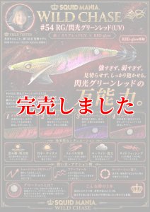 画像1: 3.5号SS  (54) RG/閃光グリーンレッド(UV) (1)