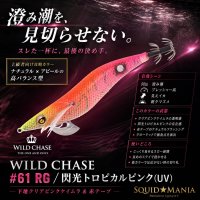 画像1: WILD CHASE 3.5号シャロー (61) RG/閃光トロピカルピンク(UV)
